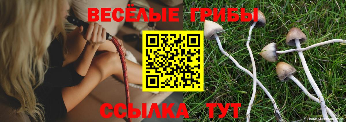 Псилоцибиновые грибы Cubensis  Псилоцибиновые грибы Cubensis  Богородицк  Вход с VPN 