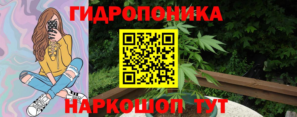 Бошки Шишки индика  Марихуана план  Шишки марихуана конопля  Вход с VPN  Богородицк  Канабис семена 